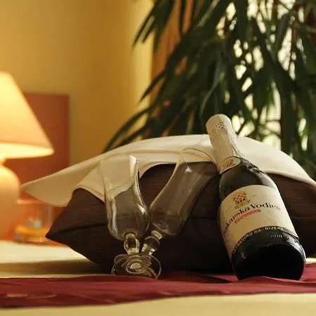 Hotel Pula PUY